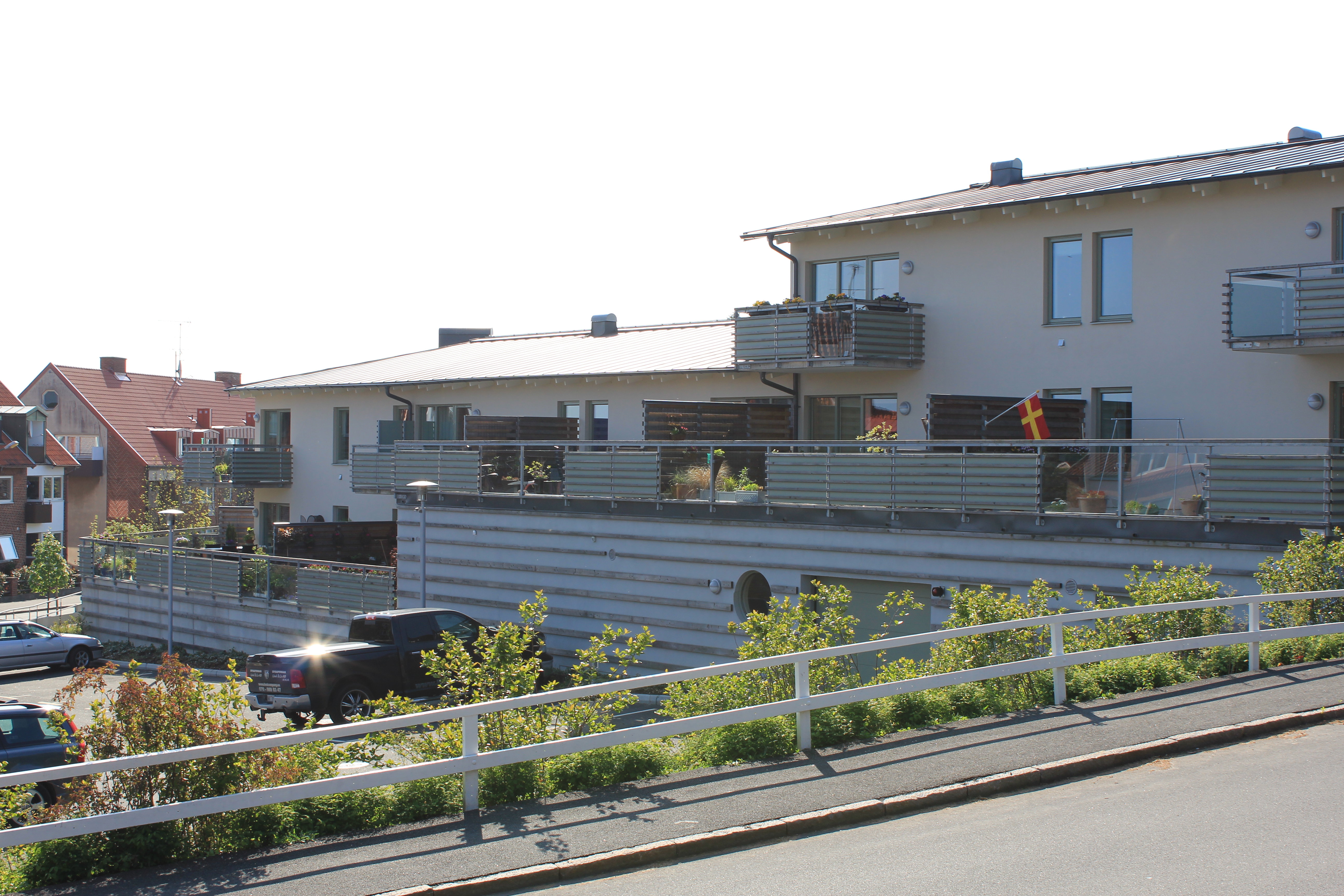 Översikt Snödroppen