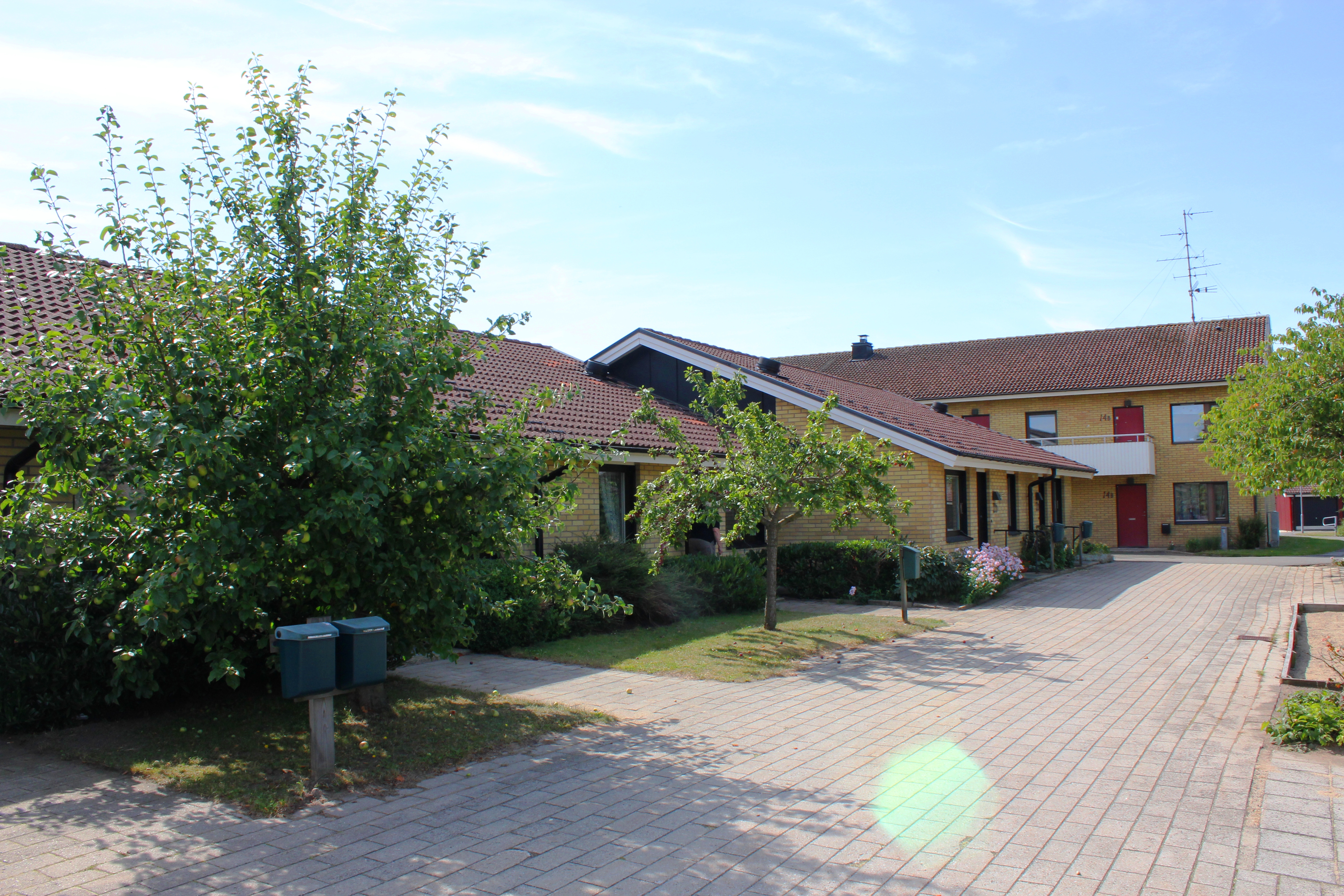 Översikt Mölledamm